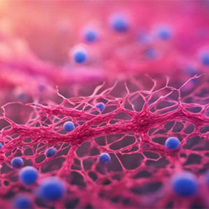 N-Acetyl Glucosamine